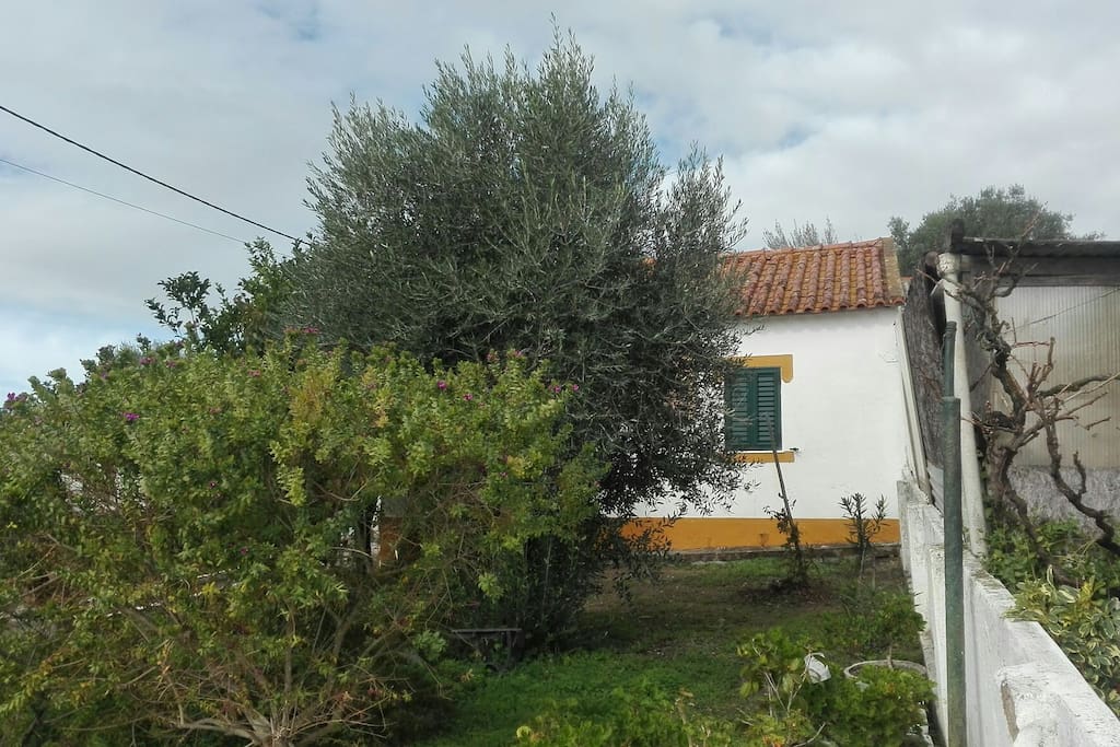 Casa vista da rua