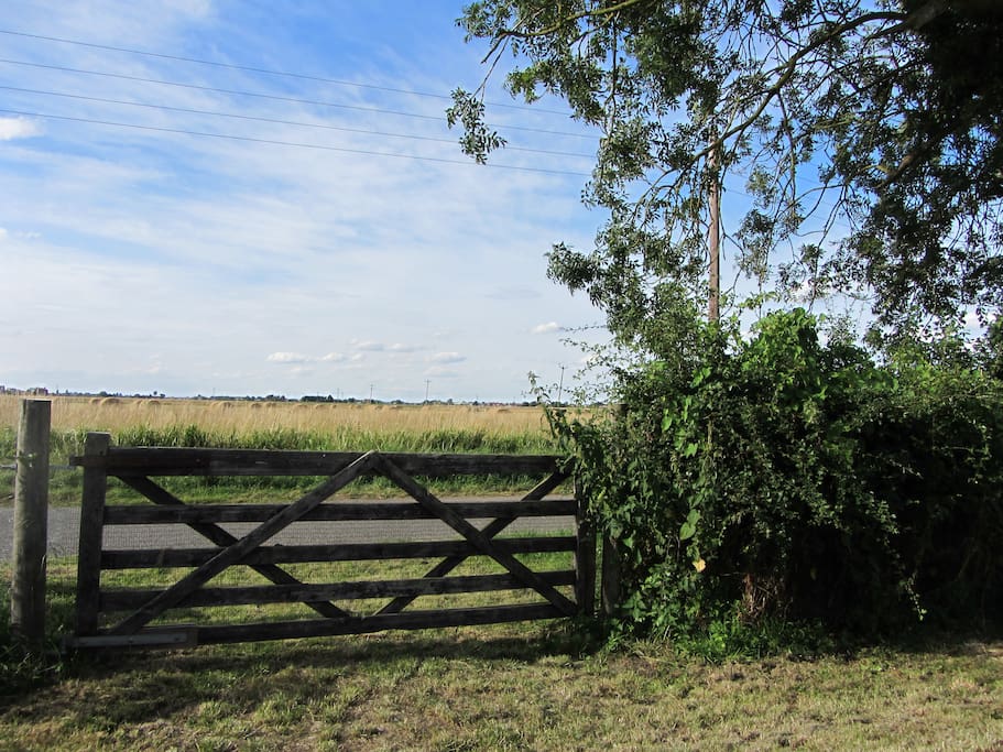 View to Fishtoft village