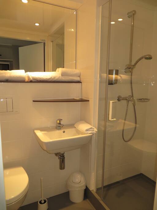 salle de douche avec WC