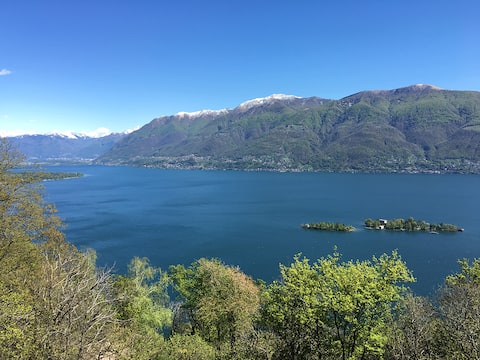Quiet 3 room designer apartment, Ronco s/Ascona