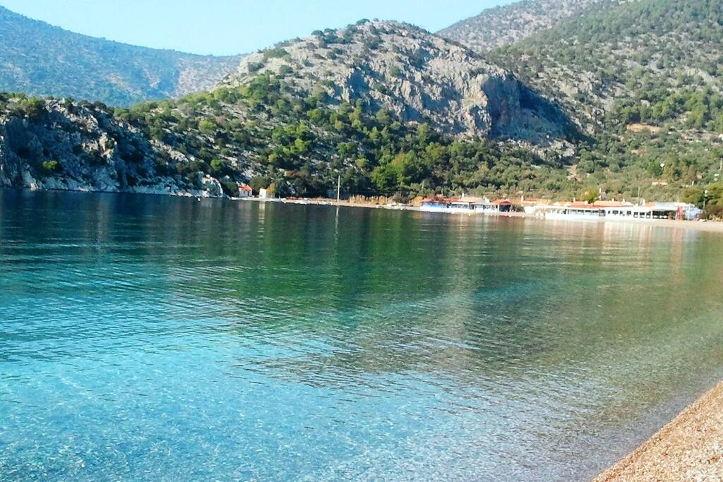 Our beachfront