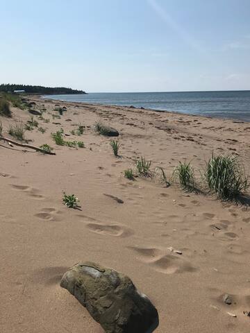 Beachfront Country Cottage Getaway gallery image 5