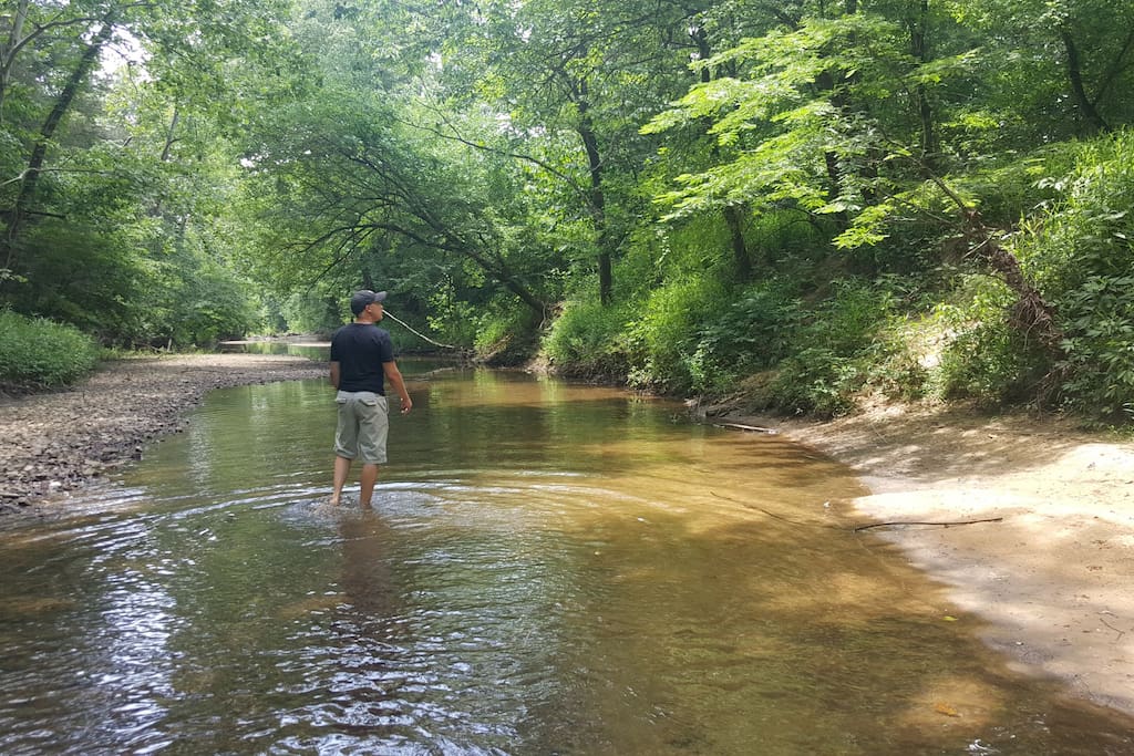 Shallow area for wading and relaxing.
