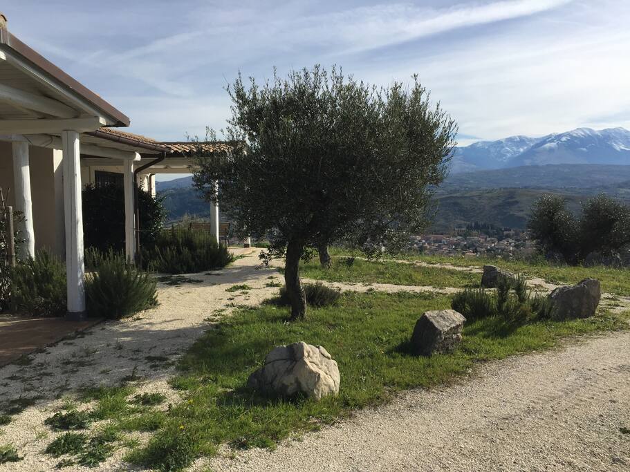 view from your patios