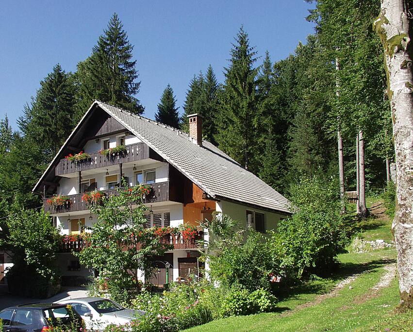 Destina room and apartments Ribcev Laz 41