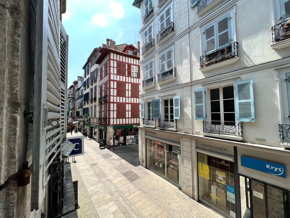 The view from the studio showcases a charming street lined with colorful buildings featuring balconies and shutters. A cobblestone path runs along the side, with shops visible at the ground level. Natural light highlights the architectural details of the façades.