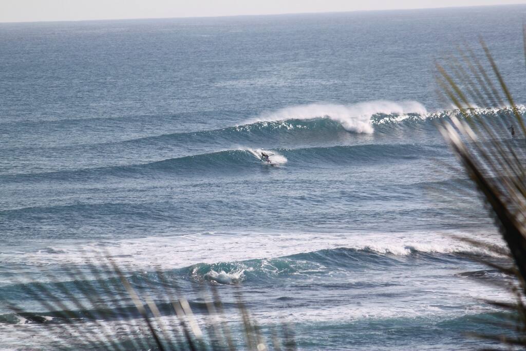 Early Morning SUP