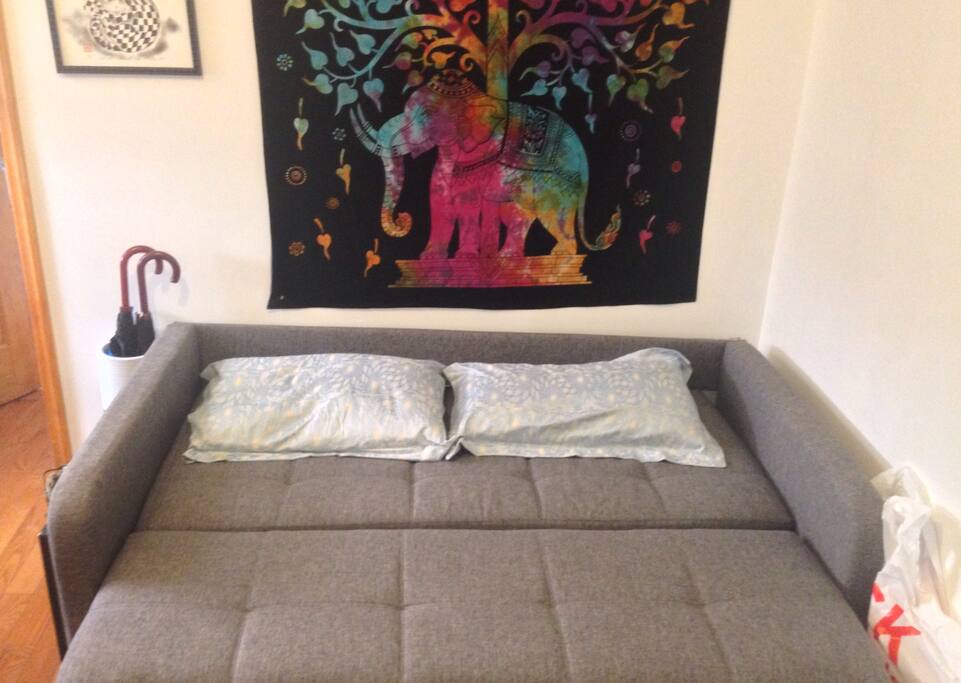 Sofa pulls out to a queen sized bed