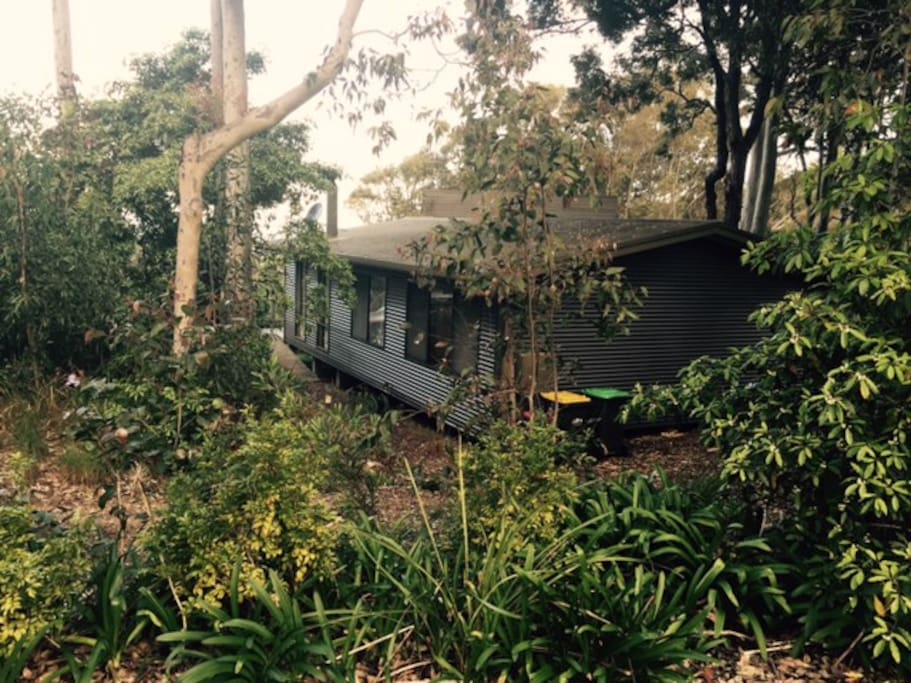 Cozy comfort nestled among the gum trees