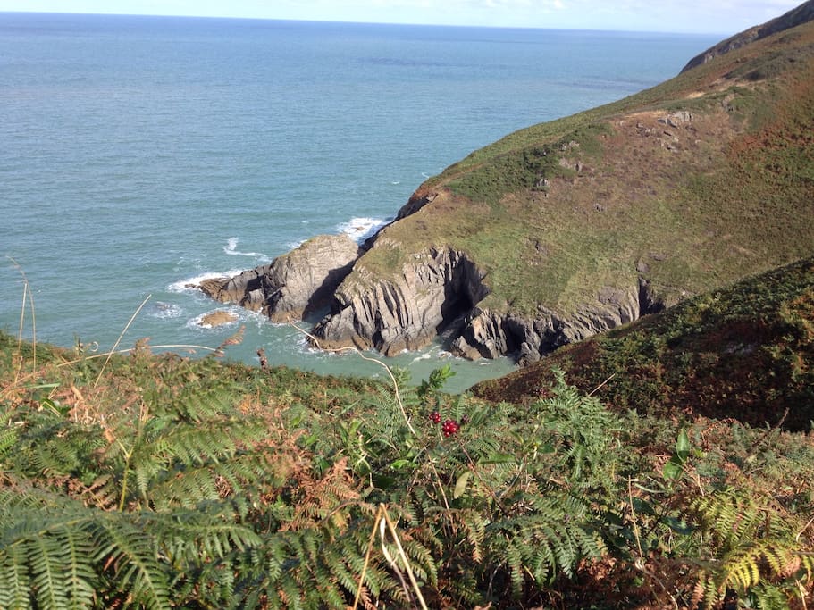 Coastal path, Parcllyn to Mwnt