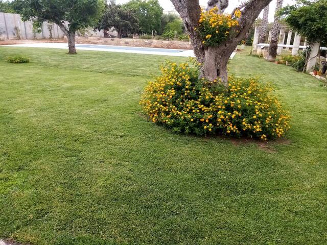 A Casa di Sofia villa con piscina nel Salento gallery image 5