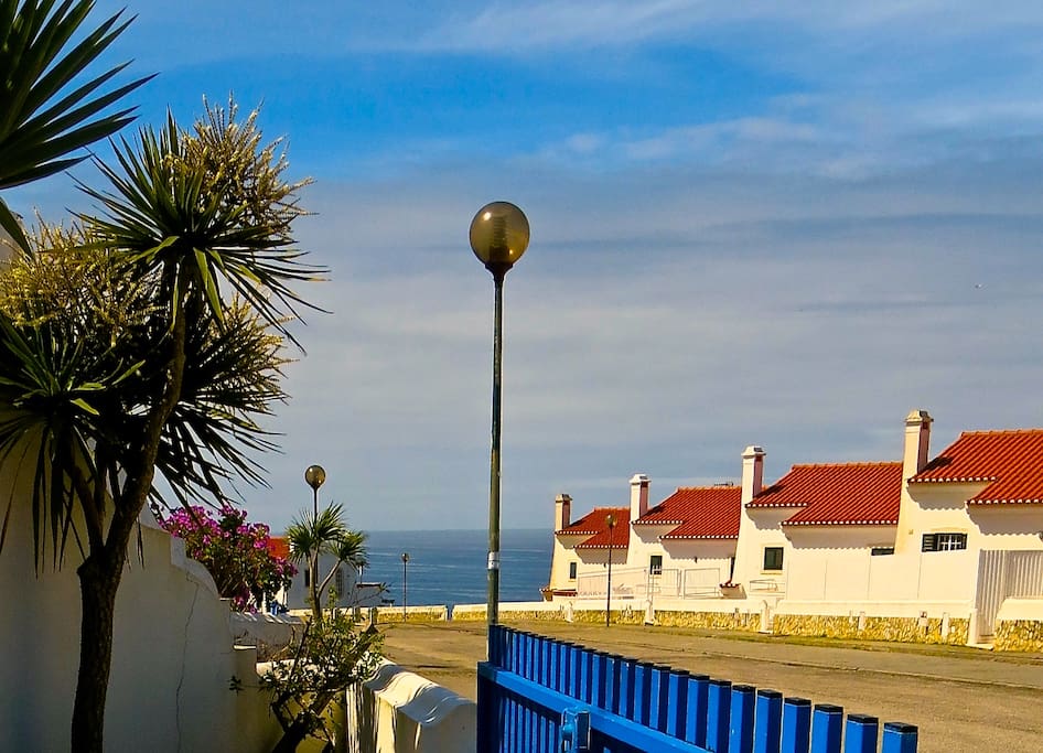 View from private palm tree garden