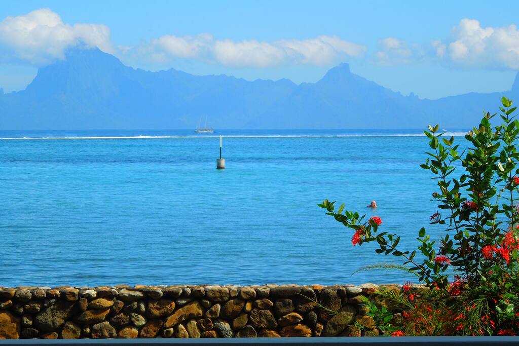 Million dollar view on Moorea island