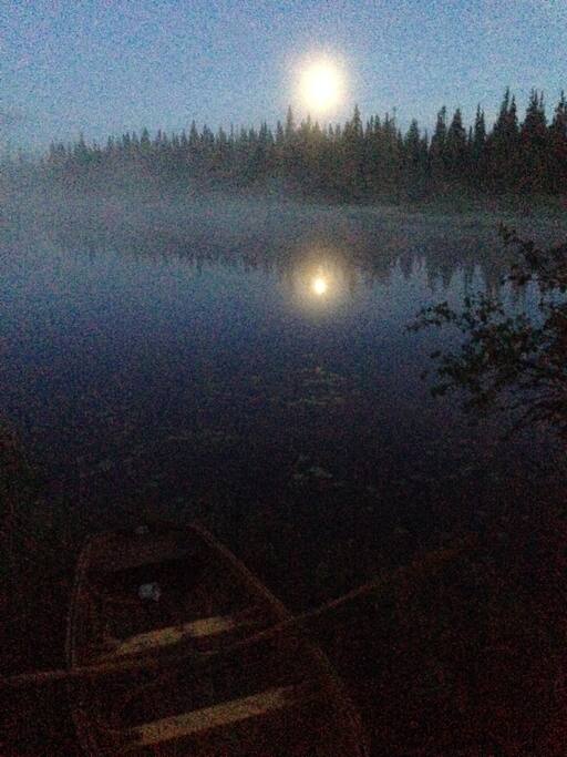 A magical vibe during nighttime.