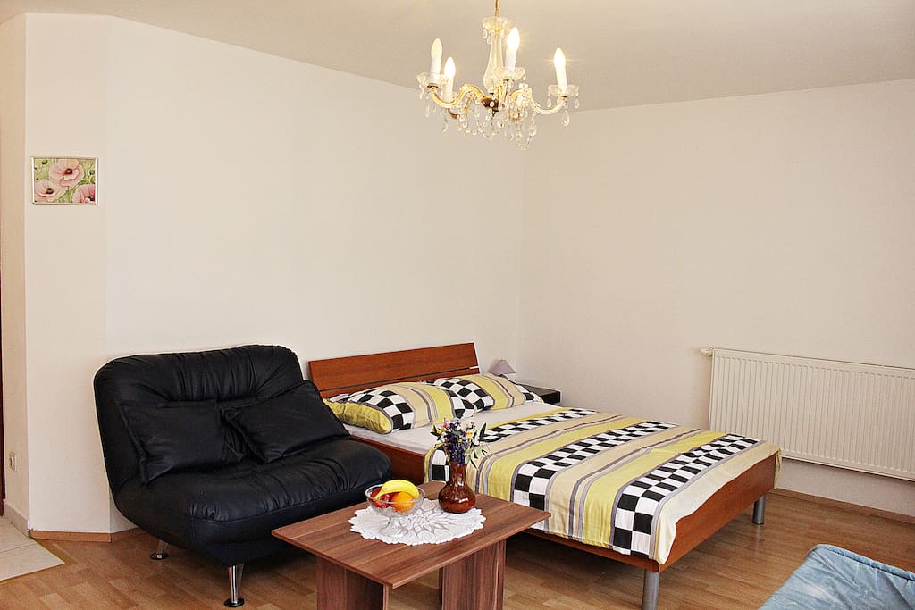 Bedoom/living room