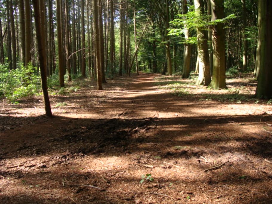 bos crailose weg