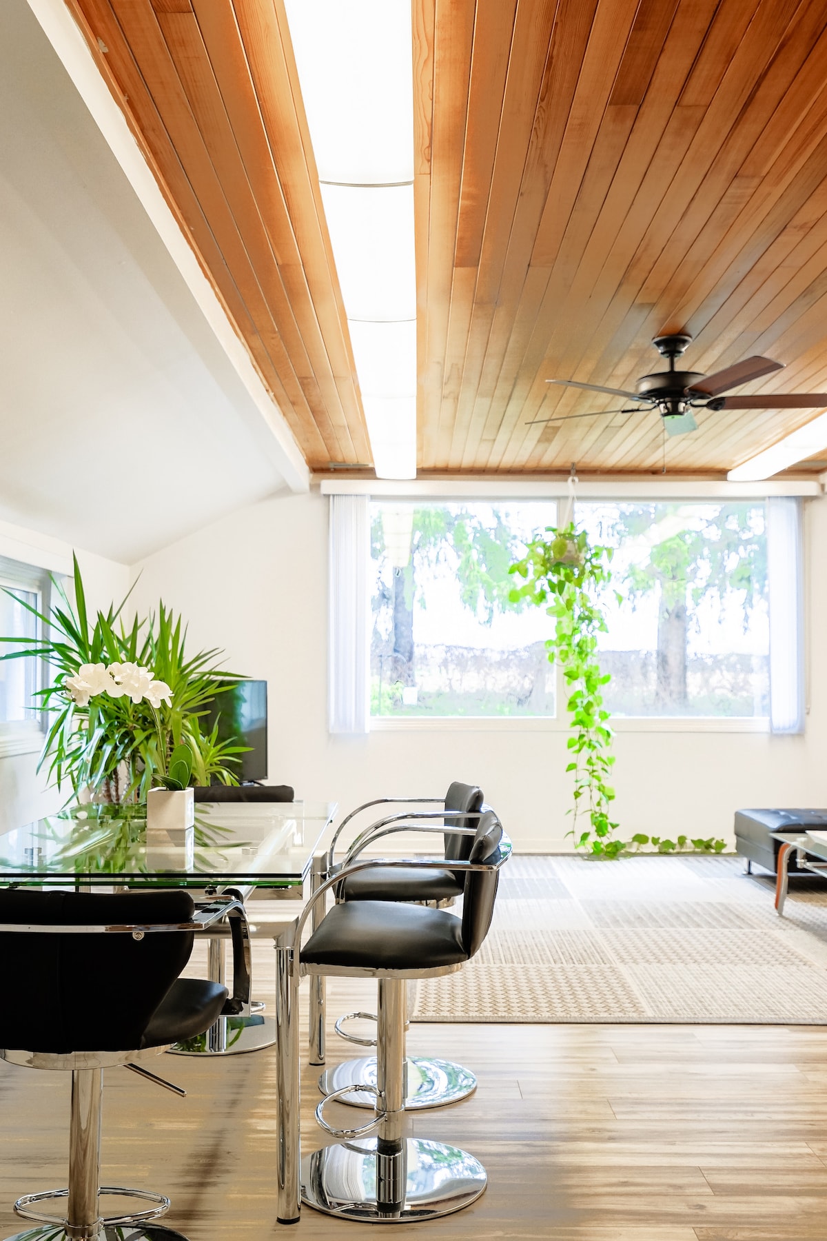 A bright dining area features a glass table surrounded by sleek black chairs. Natural light filters in through large windows, illuminating greenery placed in front. A ceiling fan is mounted above, and light wood paneling creates a warm contrast with the overall modern aesthetic.