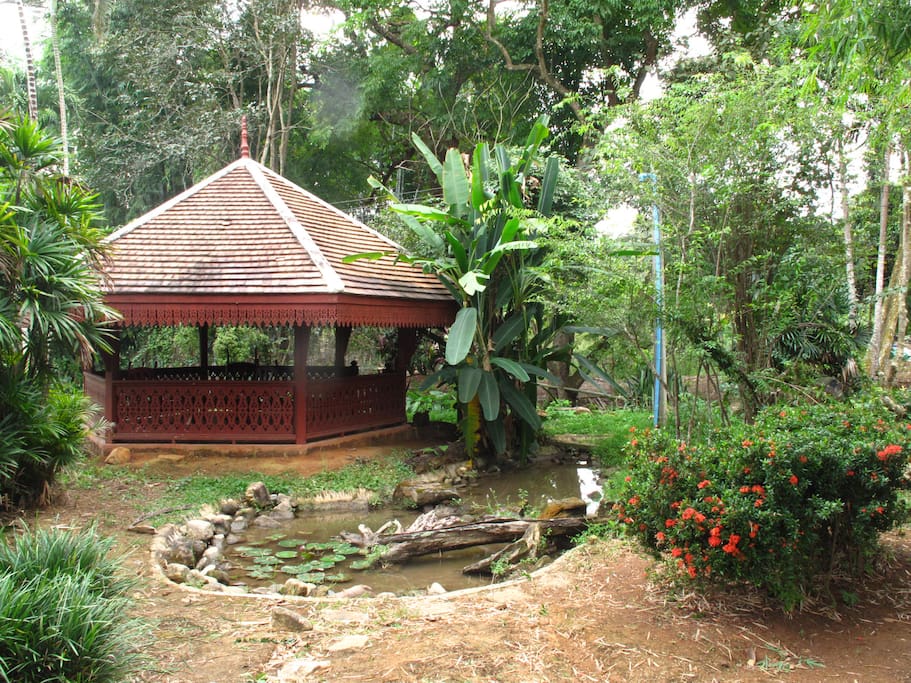 Hexagon rest house