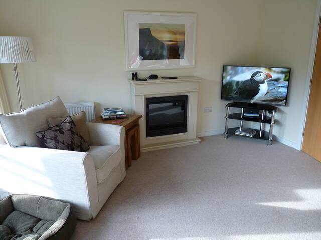 Modern Town-house in an historic Capital City. gallery image 4