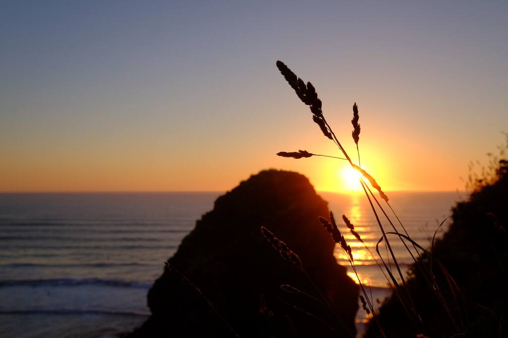 A Caption photo from a local beach