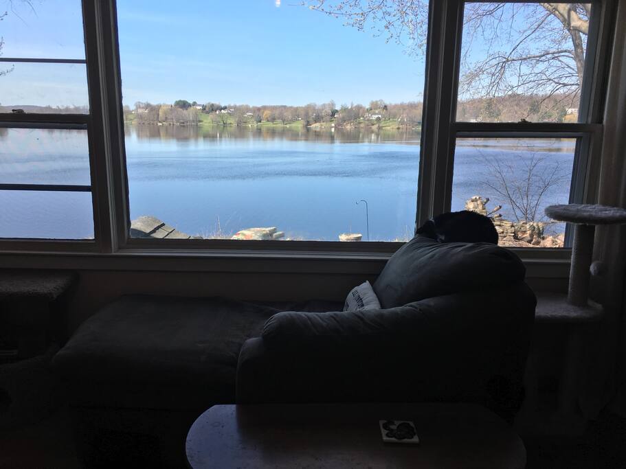 View of the lake from the living room.