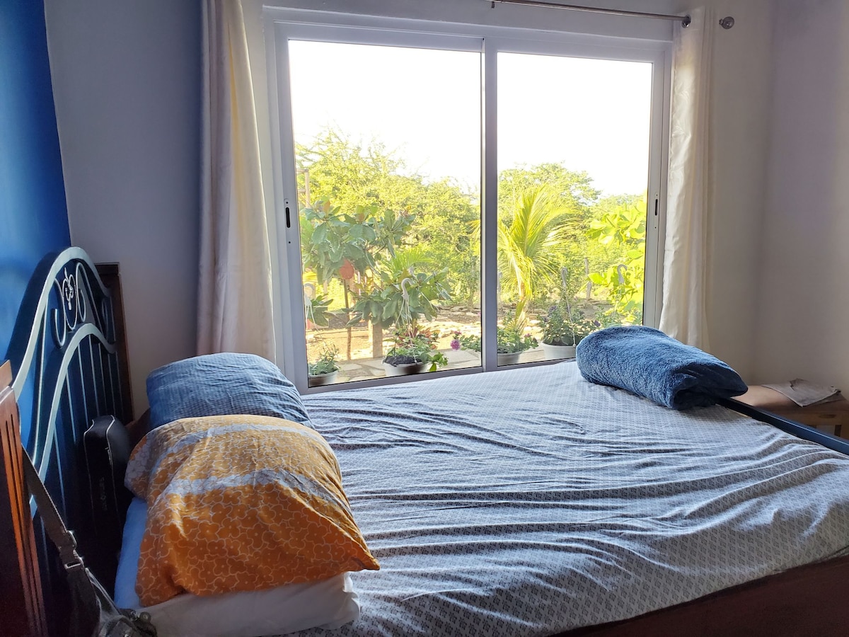 A spacious bed is positioned in front of a large window, offering views of the garden and surrounding greenery. Two decorative pillows rest at one end of the bed, inviting relaxation and comfort.