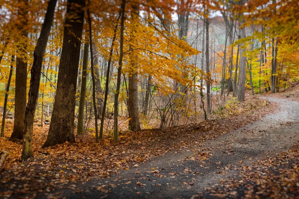 The driveway into heaven!