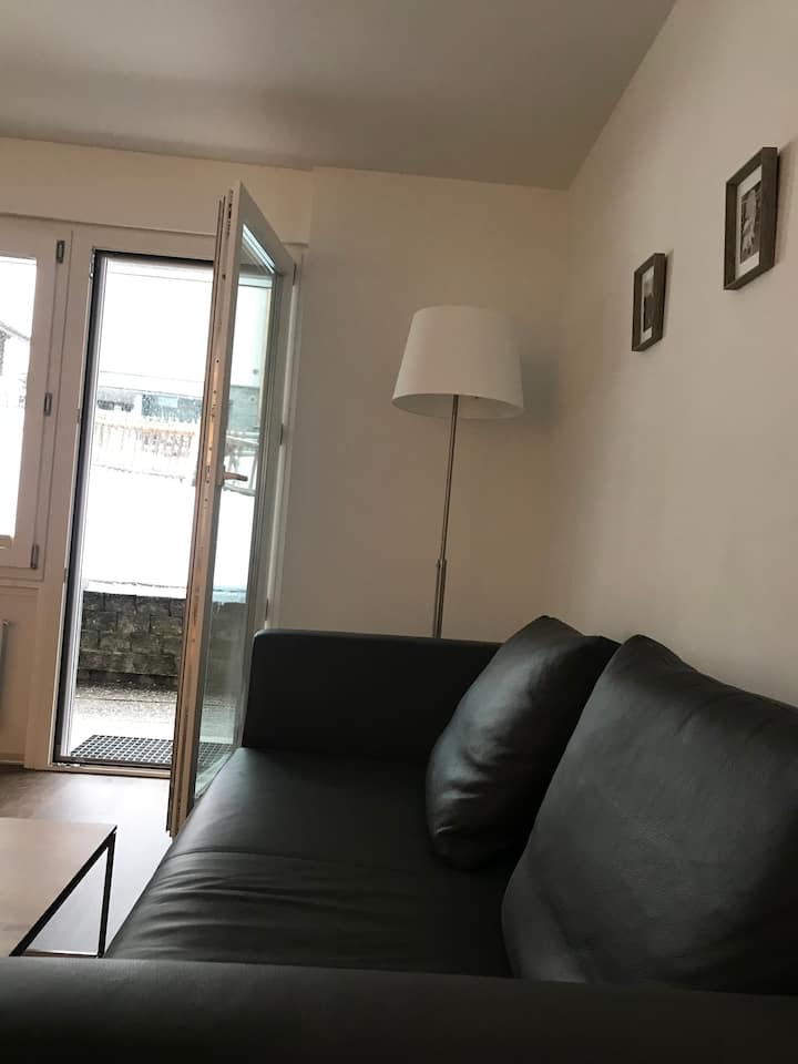 一楼和花园通道