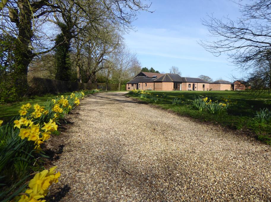 Driveway in Spring