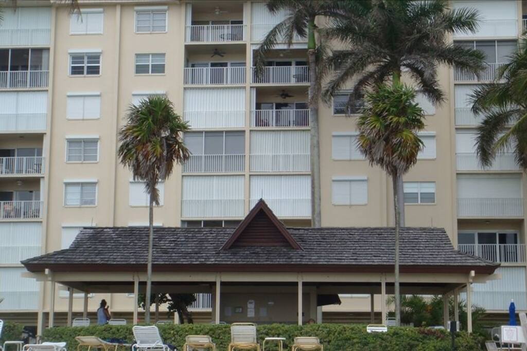 Apartment is Centrally Located in Building. Next to Palm Tree Branch-6th floor