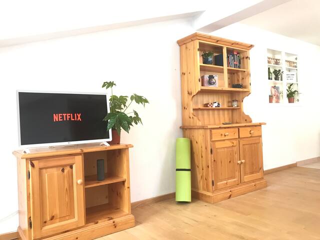 Sunny home in a mountain panorama with NETFLIX
