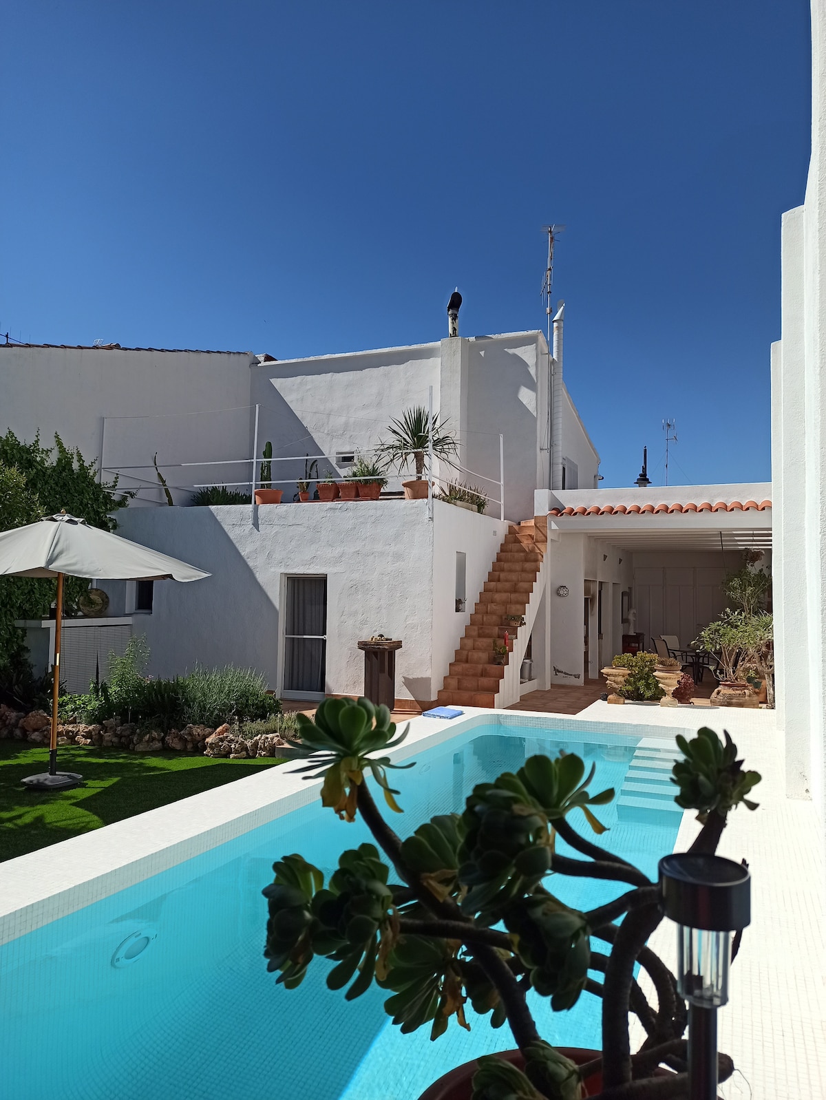 A serene view of the outdoor area features a salt-water pool alongside a well-tended garden. A flight of stairs leads to the upper level of the two-story house, surrounded by greenery and sunlight. An umbrella provides shade on the patio space.