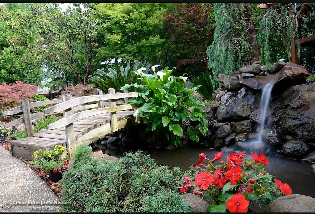 A snapshot of Heaven for you to enjoy ♡♡