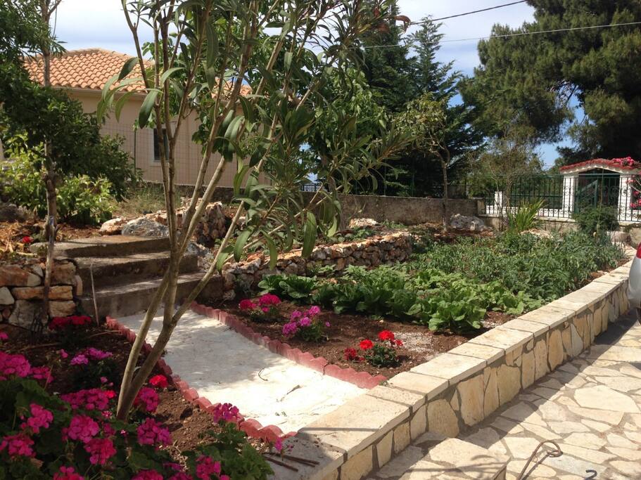 Garden for picking seasonal vegetables!