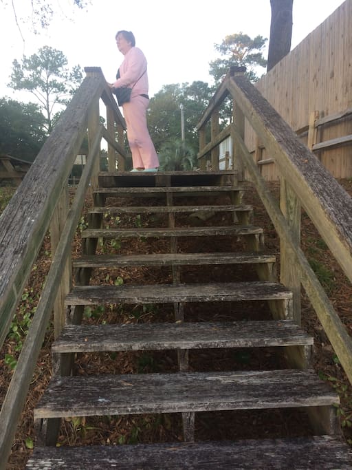 STEPS DOWN TO MARSH AT FRINK PARK