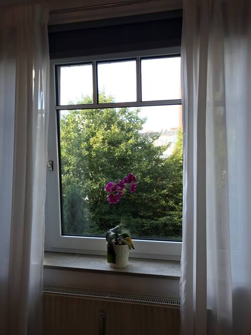 Fensteraussicht