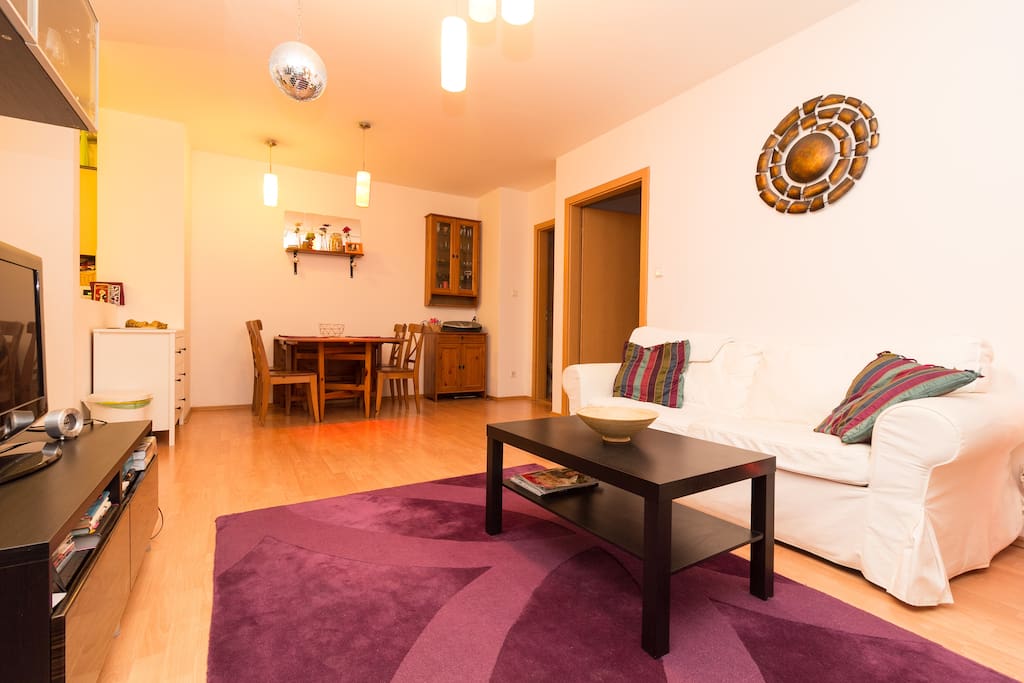 Living room and dining space