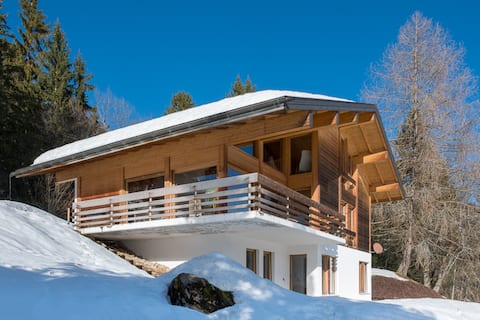 Spacious Chalet for families or business trips