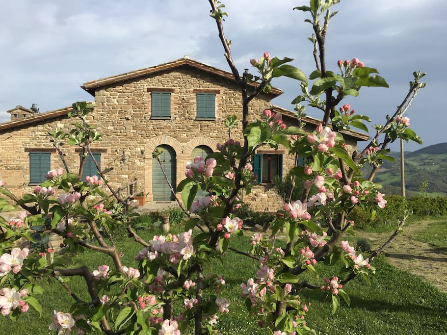 La facciata della casa in primavera