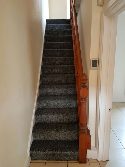staircase with newly fitted carpets leading to the bedrooms and washroom