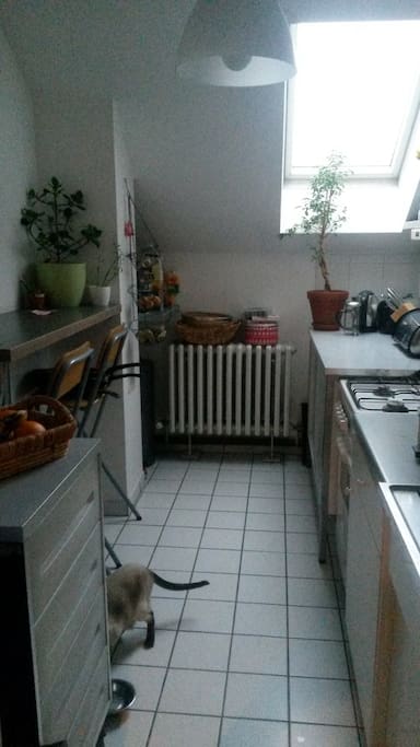 Küche