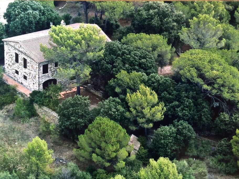 maison sur terrain arboré d'environ 1 hectare