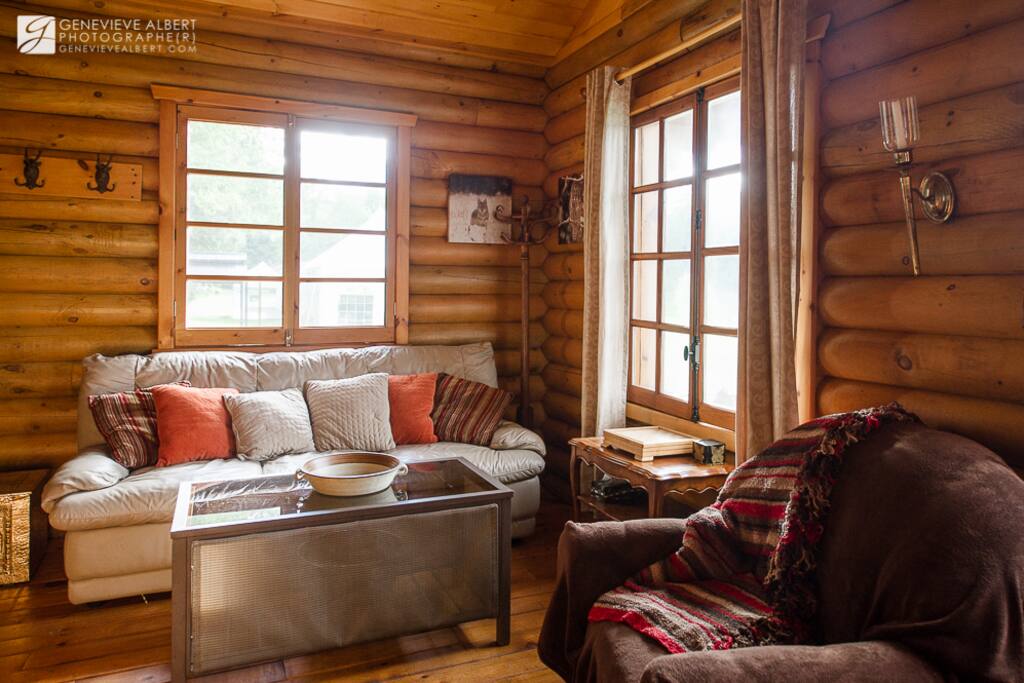 Living room with sofa-bed