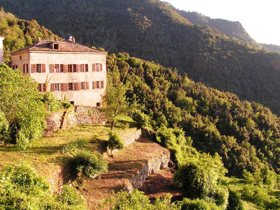 Maison et jardin en terrasses