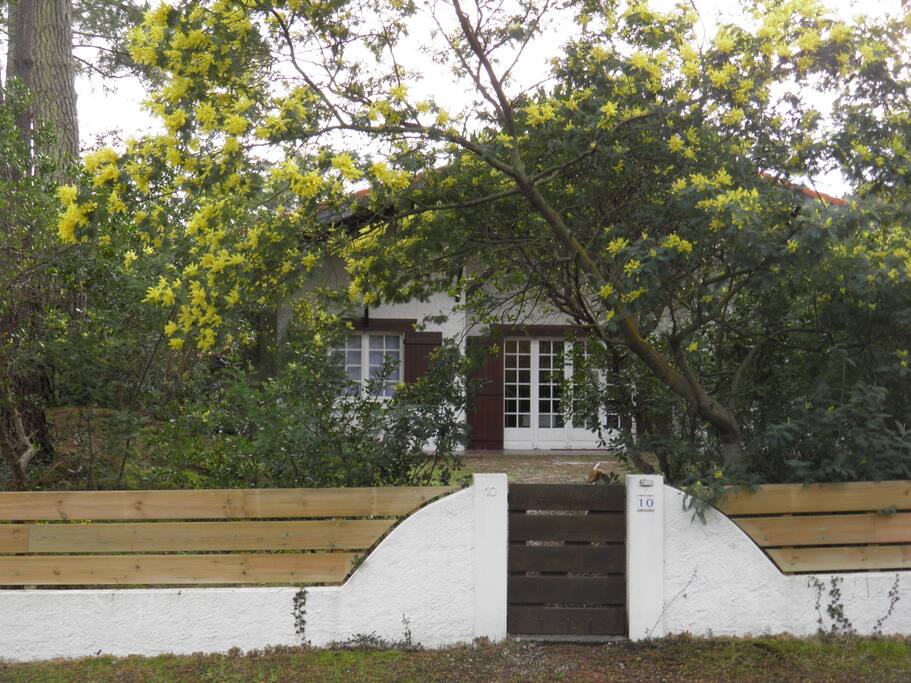villa grand terrain arborée clôturée et fleuris