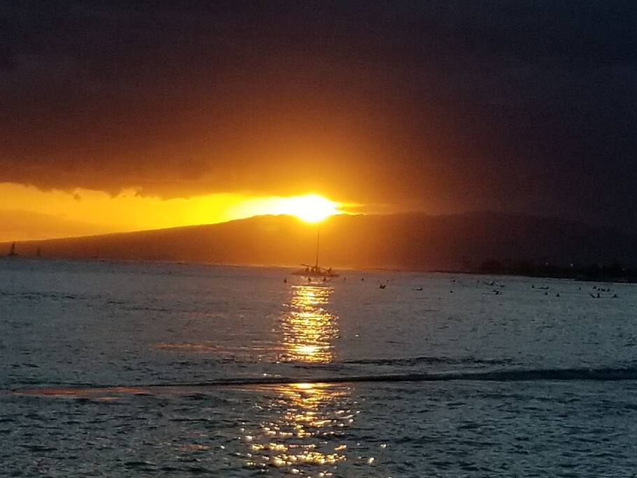 Paradise
