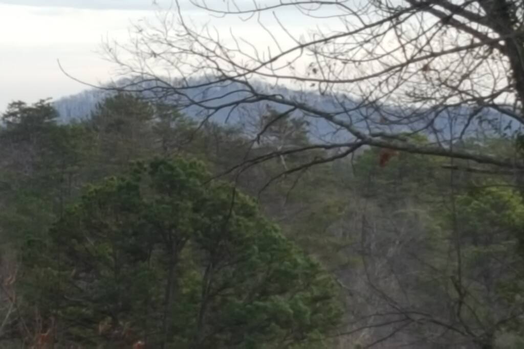 Nestled in the Foothills of the Blue Ridge mountains.