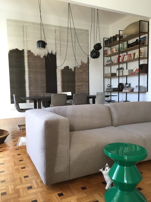 Séjour pièce de vie 55 m² sur parc