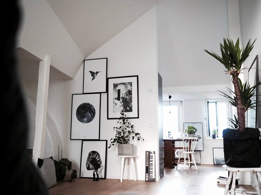 6 meter to the ceiling!