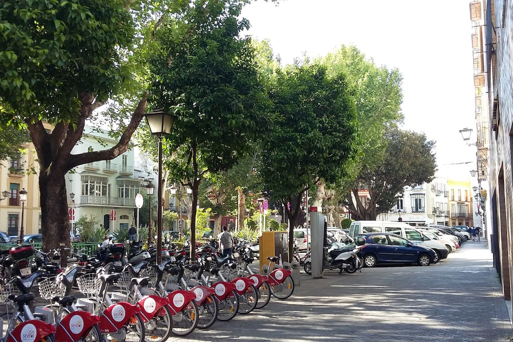 El entrono, alquiler de bicicletas